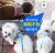 Pet Supplies Korean Square Chest Strap Hand Holding Rope