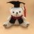 Paula hot shot manufacturers direct graduation season doctor bear dog teddy bear plush doll gifts can be customized