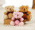 Paula teddy bear plush small pendant key chain doll wedding throwing key chain bag pendant doll