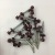 Manufacturers shot fasteners hexagonal drill tail of the lacquer that bake Self - Drilling Screws