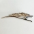 Large Headdress Hair Clip Ox Horn Hairclip Coffee Gold Tweezers Diamond Jewelry Hairpin