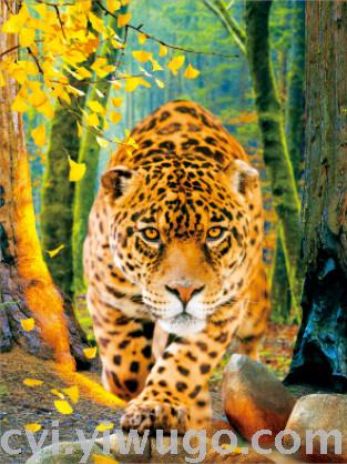 厂家直销3D 5D立体画 三维立体 30X40现货 动物 风景 可来图定制