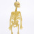 Halloween toy model scary toy skeleton model children's toy skeleton