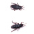 TPR high simulation soft cockroach model children early education cognition product toy Halloween product