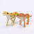 Plastic simulation of a number of wildlife model toys Plastic toys display virtual model