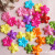 Manufacturer Direct Selling 4*20mm five color acrylic veneer flower decorative decorative accessories materials products