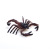 Reptile insect animal identification static insect animal identification model toy wholesale shop