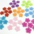 Factory Direct Frosted five-hole cut face receptor Tacle Transparent Colored Mosaic Tool Beaded Accessories, known as lily Flower Petal Flower