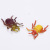 Children's early education educational toys plastic simulation insect model toys other product accessories