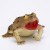 Puzzle toy frog model toy plastic simulation na nianhua sound animal stall toy wholesale hot sale