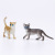 Yuan long toy farm model toy wholesale cat farm simulation baby cat model