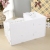 Oversized white wood plastic cosmetics storage box dressing table skin care products desktop finishing rack ZW2499