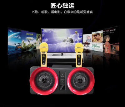 Qisheng QX-307 Family Karaoke machine Bluetooth STEREO Double Wireless Microphone live TV Stereo Plug card U Disk Stereo
