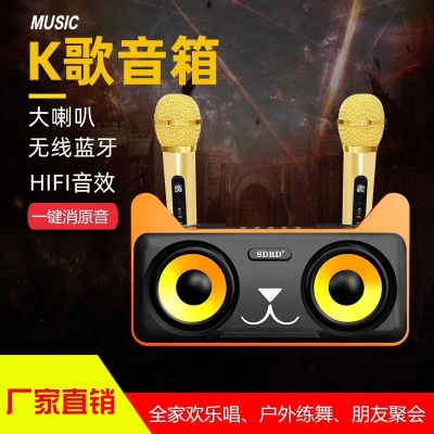 The SD305 New Cat Karaoke Home KTV Wireless Dual Duet Wireless Stereo Stereo