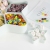 X10-0275 Multi-Grid Candy Box Creative Frame Plastic Dried Fruit Box New Year Festival Living Room Melon and Fruit Box