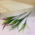 Factory direct sales of 5 foam dog tail grass imitation flowers artificial flowers