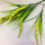 Factory direct sales of 5 foam dog tail grass imitation flowers artificial flowers