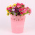 V1 lace flowerpot simulation flowerpot plastic flowerpot flowerpot home decoration piece storage
