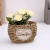 Creative hand-woven culent plant flowerpot flower box wicker flowerpot home decoration