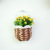 Creative living room cafe balcony tieyi wall hanging wall decoration hanging simulation plant basket