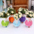 Fresh plastic flower basket mini rattan household white decorative vase mini flower display wholesale