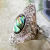 Rongyu 2021 New Popular Colorful Natural Abalone Shell Ring Female Fashion Exaggerated Creative Leaf Flower Ring