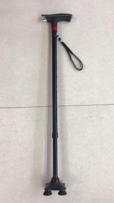 Two-Section Walking Stick with Light Alpenstock