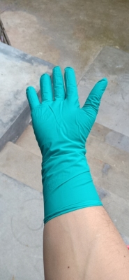 Food Grade Disposable Gloves PVC Labor Gloves Transparent Beauty PVC Green Gloves