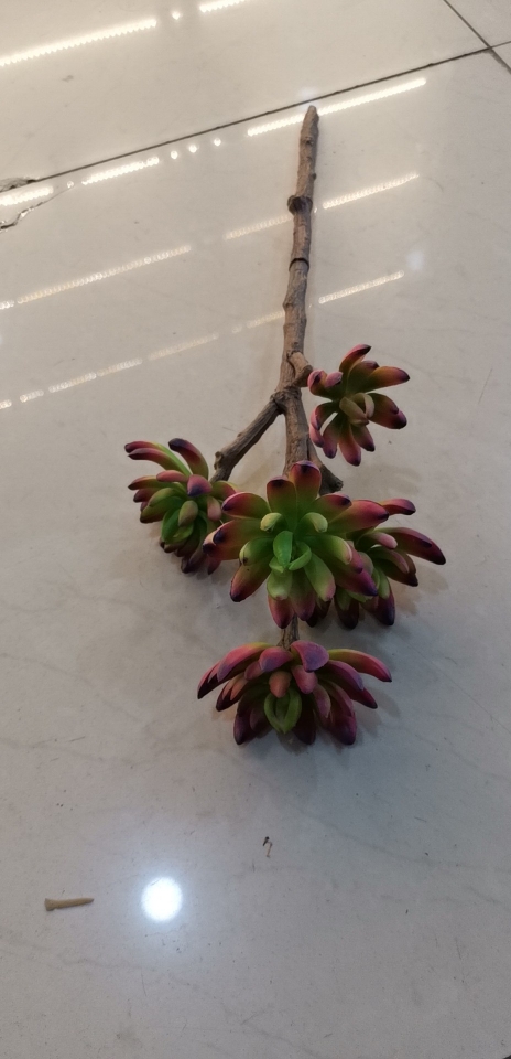 高仿真多肉植物盆景插花植物画植物墙
