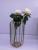 Transparent hydroponic flower pot flower arrangement er tieyi vase sitting room