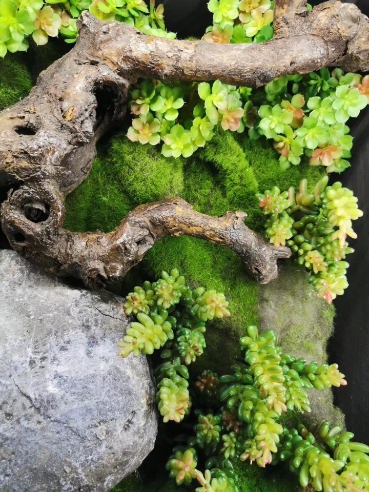 高仿真多类类植物墙植物画定制