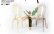 Transparent Chair Acrylic Chair Factory Direct Import Material Wedding Chair Wedding Chair Hotel Chair High-End Chair Furniture