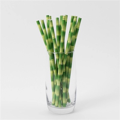 Bamboo design kraft paper straw environmentally friendly straw, Bamboo straw manufacturers direct FDA LFGB testing