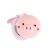Tiktok Cute Cartoon Pink Girl Piggy Small Fan Portable USB Charging Mini LED Lights Fill Light Makeup Mirror