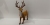 Simulation deer, Christmas deer, Christmas gifts, scene layout, Christmas, Christmas gifts, Christmas