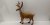 Simulation deer, Christmas deer, Christmas gifts, scene layout, Christmas, Christmas gifts, Christmas