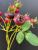 Simulation flower manufacturers direct sale of Chinese home decoration flowers fake flowers wholesale simulation rosehip