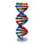 Human DNA model double helix technology small production of diy biological science experimental equipment teaching AIDS