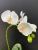 Simulation flower manufacturers direct Chinese home decoration flowers fake flowers wholesale simulation phalaenopsis