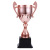 Gold, silver and bronze high grade football, basketball, baseball, table tennis, competitive dragon boat team trophy