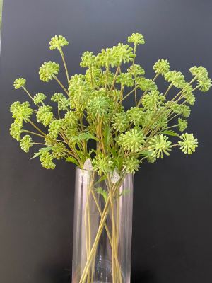 Simulation flower manufacturers direct Chinese home decoration fake flowers wholesale simulation small angelica