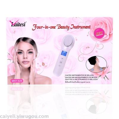 Freezing point hot and cold hairdressing apparatus facial skin care into the cold and hot ion facial multi-functional hairdressing apparatus