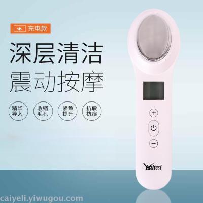 Multi-function cold and hot compress lead-in instrument ion beauty instrument freezing point beauty instrument