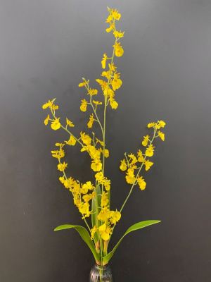 Simulation flower manufacturers direct Chinese home decoration flowers fake flowers wholesale simulation dance orchid