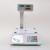 Electronic weighing platform weighing precision stainless steel Electronic weighing scale