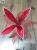 Christmas tree accessories poinsettia pink flowers