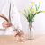 Minimalist Creative Glass Vase Green Radish Cultivation European Style Transparent Glass Jar Flower Arrangement Decoration Dried Flower Vase