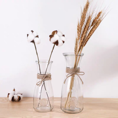 Minimalist Creative Glass Vase Green Radish Cultivation European Style Transparent Glass Jar Flower Arrangement Decoration Dried Flower Vase