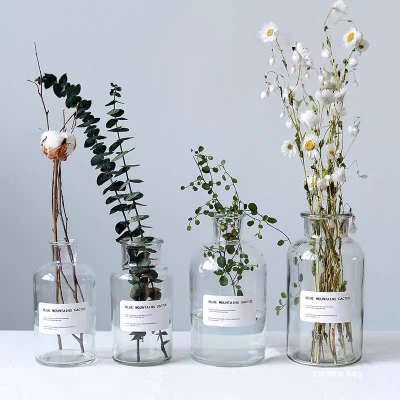 Nordic Smaller Brown Bottle Transparent Vase Ins Style Transparent Hydroponic Glass Vase Table Decoration Living Room Decorations