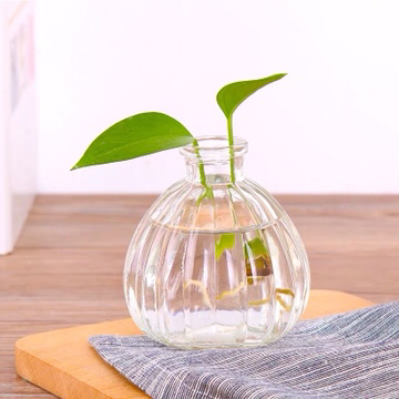 Small Vase Glass Vase Transparent Modern Simple and Fresh Creative Living Room Decoration Desktop Flower Dried Flower Vase